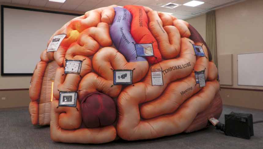 The MEGA Brain Exhibit
